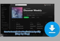 How to Download a Playlist from Spotify