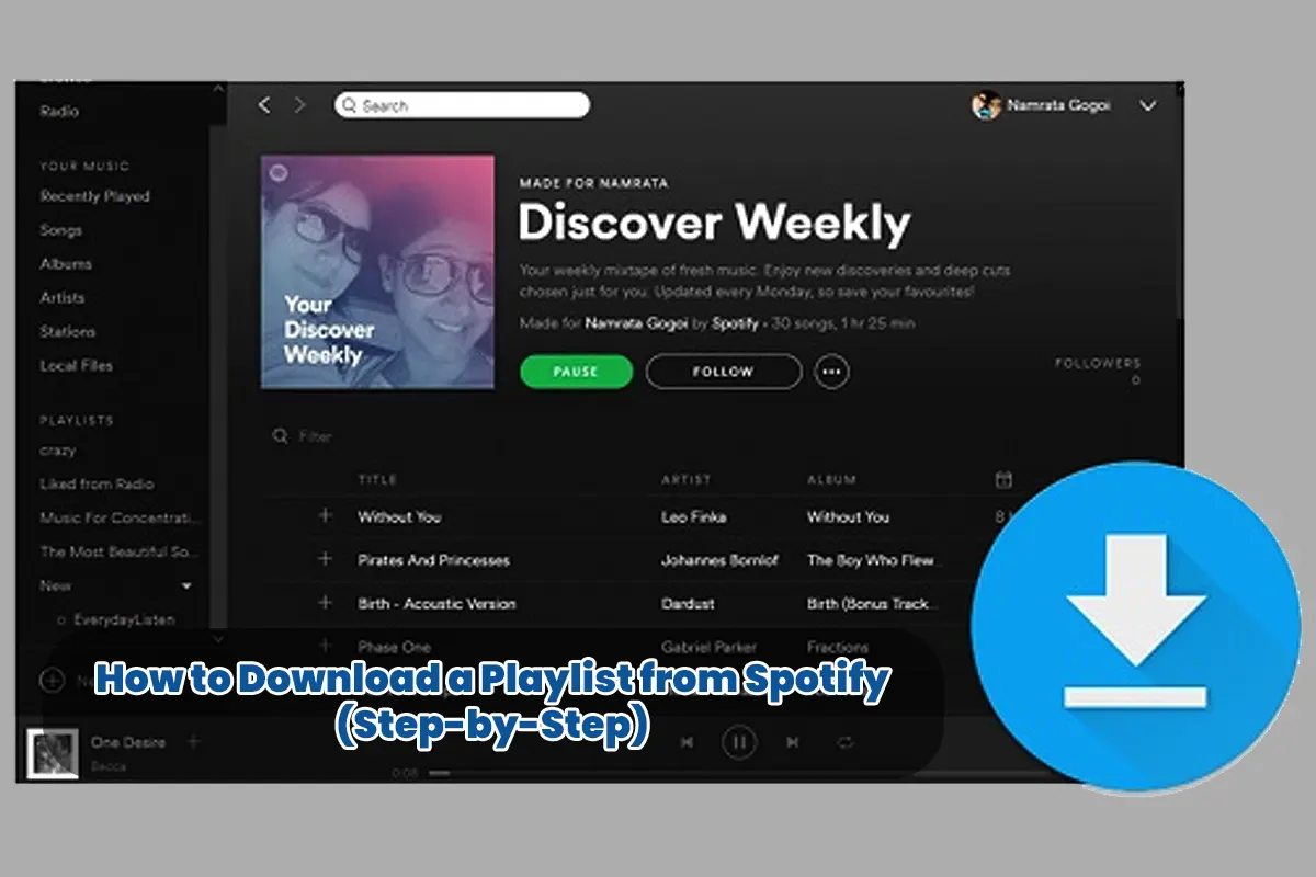 How to Download a Playlist from Spotify