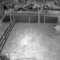 Rahasia CCTV Tetap Terang di Gelap Total: Jangan Salah Pilih Fitur Night Vision Sebelum Baca Ini!